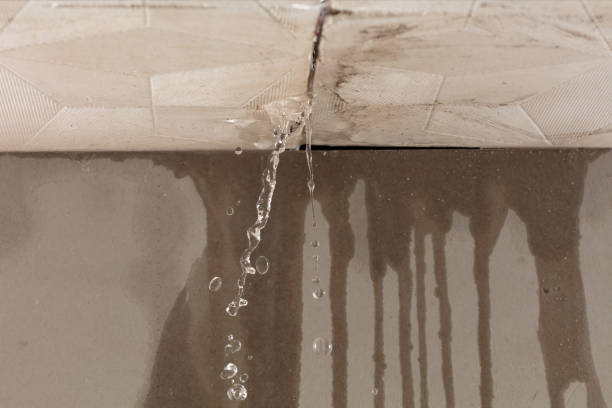 Professional Structural Drying technician working in Osgood, OH